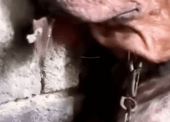 Encadenado en la oscuridad esperando morir solo_part2