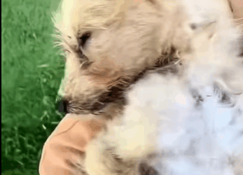 Lloraba de dolor pero nadie volvió por mi part2