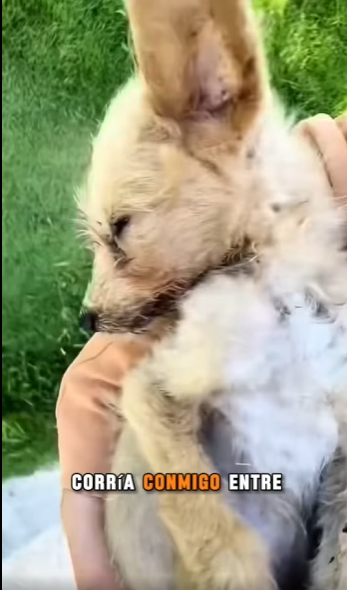 Lloraba de dolor pero nadie volvió por mi part2