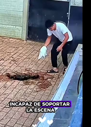 Rescata al ciervo (Parte 2)