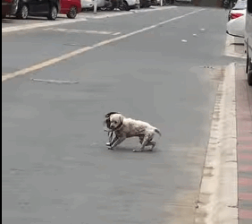 Love is action (Parte 2)