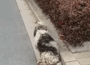 Would you stop broken soul (Parte 2)