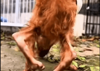 Me castigaron por tener hambre jamás volví correr part2