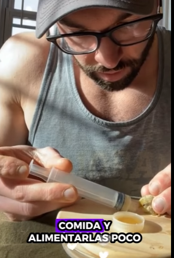 A2611002 Codorniz de rescate (Parte 2)