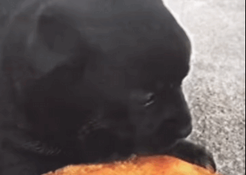 Fui basura para ellos pero en mi corazón solo había amor part2