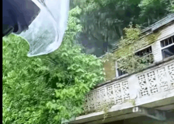 A2711007 A new life starts here (Part 2)