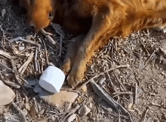 A2711009 Thankful for a second chance (Part 2)