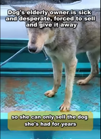 A2711008 From abandoned to safe (Part 2)