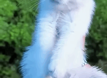 A2711003 Small, but worthy of love (Part 2)