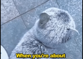 A2711005 Every life deserves protection (Part 2)