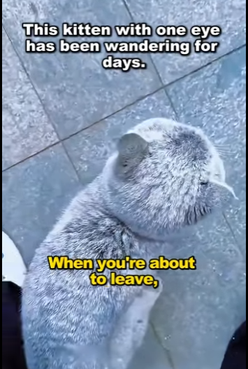 A2711005 Every life deserves protection (Part 2)