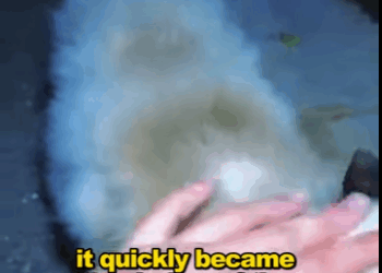 A2711006 Today, kindness won (Part 2)