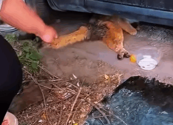 A2711001 One saved life changes an entire world (Part 2)