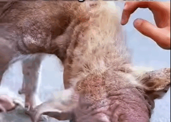 A2711010 The power of kindness (Part 2)