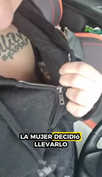 R1611004 Zarigüeyas de rescate (Parte 2)