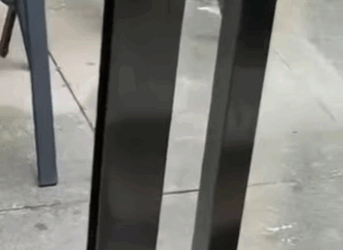 R2711005 Erizos de rescate (Parte 2)