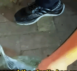 Puppy thrown into river in bag, howls for two hours. Eventually found and rescued (Part 2)