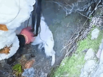 Dog dumped in deep pit with massive burn all over his body