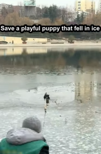 E2829004 Ice skating is not fun at all (Part 2)