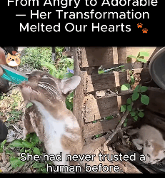 Angry to Adorable Her Transformation Melted Our Hearts