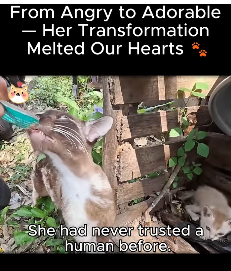 Angry to Adorable Her Transformation Melted Our Hearts