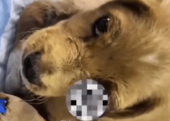 Me dejaron ciego y solo….Pero mi llanto cambió mi destin (Parte 2)