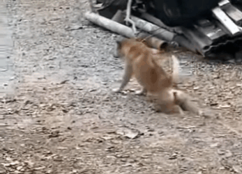 E3011001 truth is unexpected (Part 2)