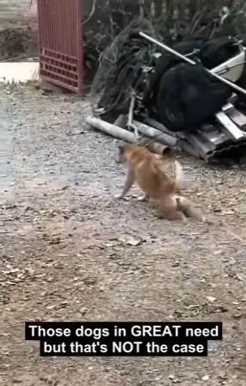 E3011001 truth is unexpected (Part 2)