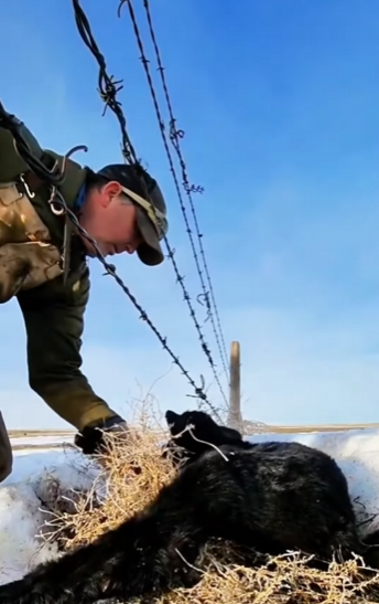 R2930011 Armadillos de rescate (Parte 2)