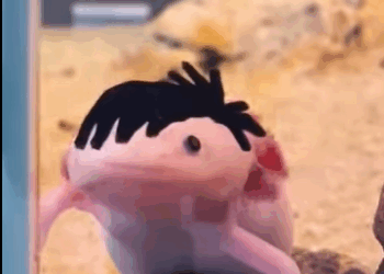 R2930010 Rescate de ciervos (Parte 2)