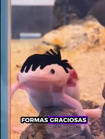 R2930010 Rescate de ciervos (Parte 2)