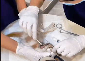 From fear to safety in seconds (Part 2)