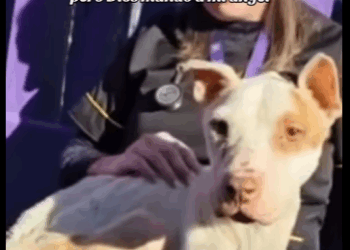 “Me dejaron morir en un patio… pero Dios mandó a mi ángel” (Part 2)