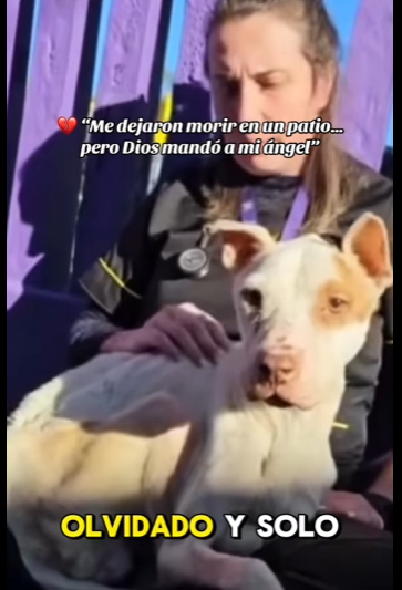 “Me dejaron morir en un patio… pero Dios mandó a mi ángel” (Part 2)