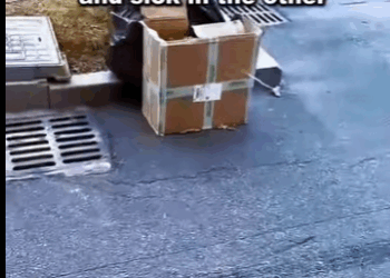 A1105005 From fear to freedom, from pain to peace (Part 2)