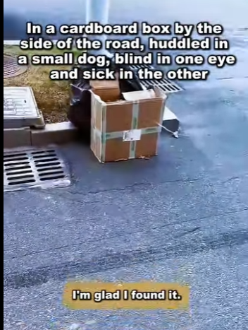 A1105005 From fear to freedom, from pain to peace (Part 2)