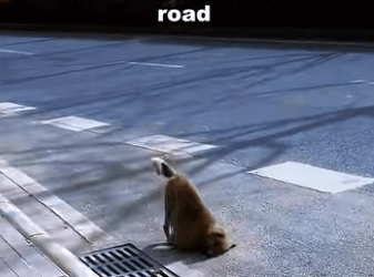 A1105004 You don’t need to be a hero — just care enough to help (Part 2)