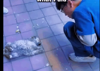 A1105003 He was broken, but never gave up. Now he smiles again (Part 2)