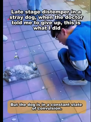 A1105003 He was broken, but never gave up. Now he smiles again (Part 2)