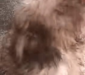 Depues de golpes y hambre,conocí lo que es el verdadero amor (Parte 2)