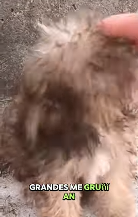 Depues de golpes y hambre,conocí lo que es el verdadero amor (Parte 2)