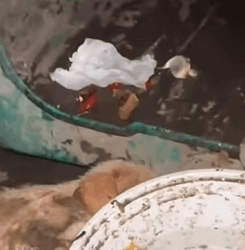 Mi cuerpo ya no aguantaba más…Y me tiraron como si fuera nada (Part 2)