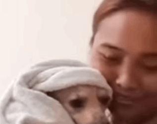 El perrito que venciò el dolor (Parte 2)