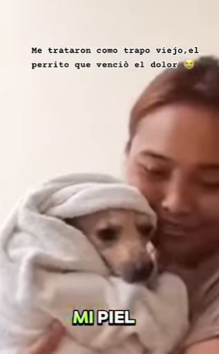El perrito que venciò el dolor (Parte 2)