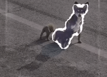 Invalida y arrastrándome con mis dos cachorros.. Esta es mi historia (Parte )