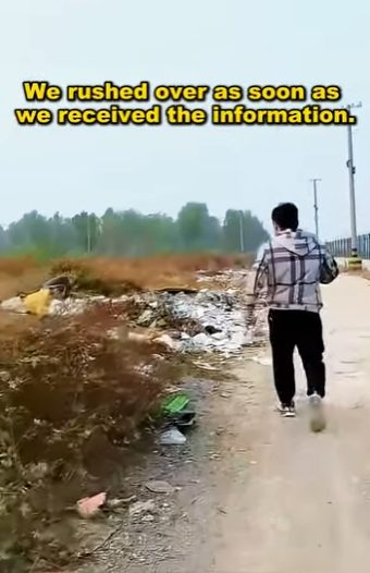 The dog is dying of illness. Being abandoned by the owner, the garbage heap will live and destroy itself (Part 2)