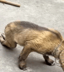 Nature’s heartbeat is found in every living being (Part 2)