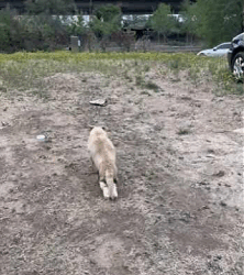 The beauty of the wild cannot be captured — only felt (Part 2)