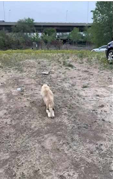 The beauty of the wild cannot be captured — only felt (Part 2)