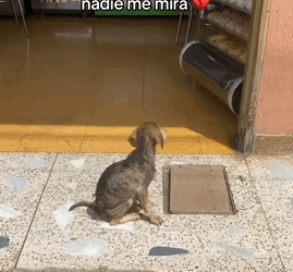 Yo también tengo hambre pero nadie me mira (Part 2)